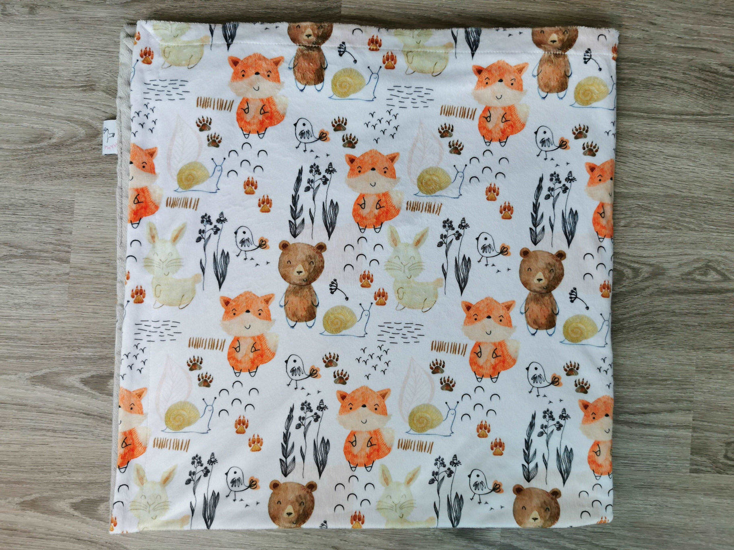 Minky blanket, Singapore minky blanket, cute minky blanket, premium minky blanket, buy minky blanket